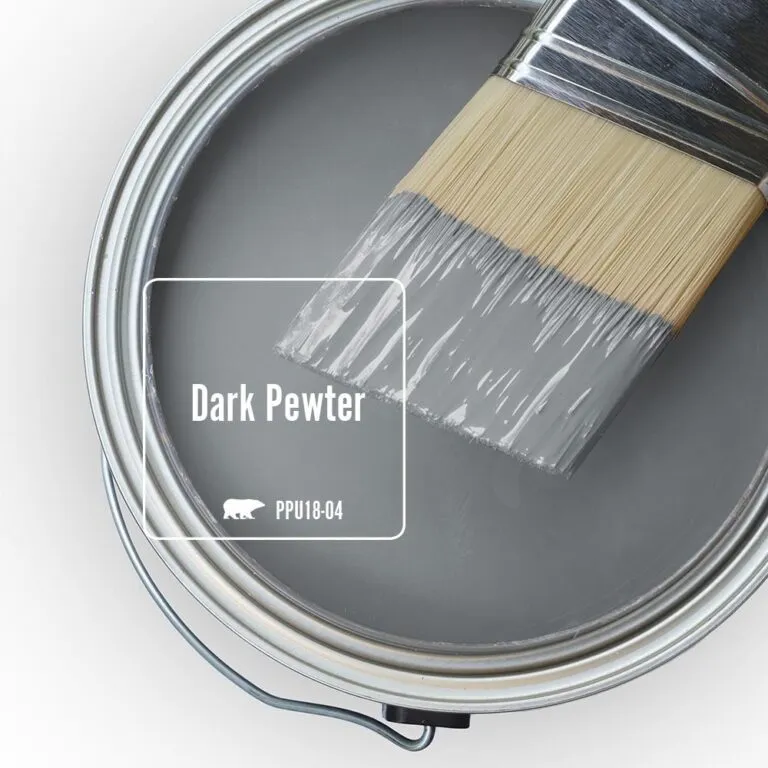 'Dark Pewter' Image via Home Depot/Behr